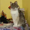 Отзыв от Таисия Гаврилова